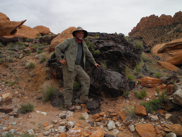 Backpacking in Utah: Wolverine Petrified Forest near Little Death Hollow